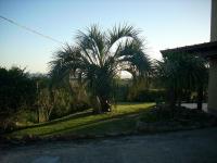 Proa Amarilla - B&B