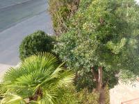 Apartmani Levarda - Ferienwohnung Trogir