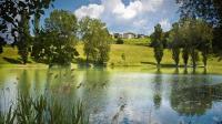 Appartamenti Cenni - Relais su Lago - Bed and Breakfast