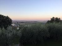 Agriturismo Borgo tra gli Olivi - Ferienwohnung Castiglion Fiorentino