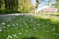 Le Domaine des Terres du Thil - B&B Canehan