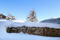 Moabauer - Ferienwohnung Wagrain