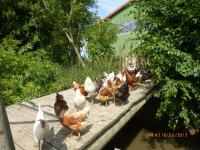 Ferienhof Lorenzen - B&B