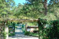 Verde que te quero Ver-te - Chalés - Chambres d’hôtes Visconde de Mauá