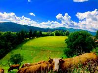 Kopanický dvor - B&B Hodruša