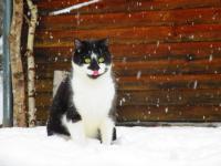 L'Esprit du Bois - Bed and Breakfast Aydat