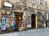 Apartment San Domenico - Ferienwohnung Siena