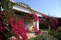 Casinha Almares - B&B