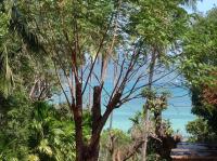 Suite con vistas al mar - Cama extragrande