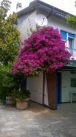 SanBart Villetta con Giardino - B&B San Bartolomeo al Mare