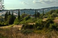 Antico Giuncheto - B&B Magione