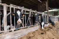 Zubeltzu Torre - B&B Zumaya