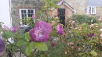 Kingsmede Bed & Breakfast - B&B Ventnor