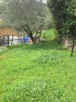 The Palm House - B&B Santa Margherita Ligure