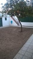 Casa do Limoeiro - B&B
