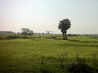 Kamer met Kingsize Bed en Uitzicht op Meer