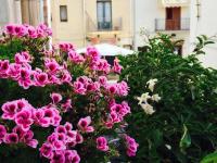 Ai Dammusi Rooms - B&B