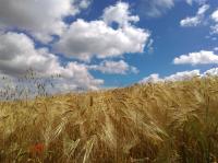 Le Moulin De Laval - Bed and Breakfast