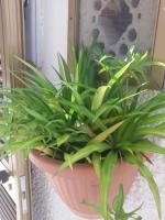 La Casa Di Lo - B&B Monopoli