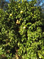 El Cuadron - B&B Camango