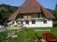 Pensiunea Muntele Gaina - B&B