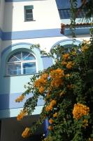 Casa Do Antonio - B&B Velas