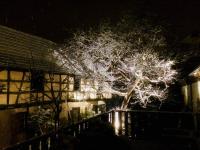 L'Ours - Ferienwohnung Bischwiller