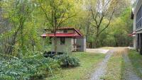 Red Roof mountain cabin with Starlink internet! - B&B