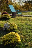 Pensiunea Casa Runcu Buzau - B&B Runcu