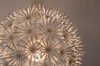 Barclay House - B&B Kelso