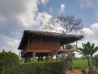 PANORAMIC Canopy Family Treehouse