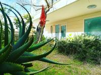 Camere Borgo - B&B