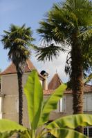 Chateau Saint Martin B&B - Ferienwohnung