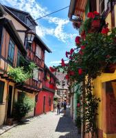 KAYSERSBERG city center - House "AUX 7 FORGERONS" - - Chambres d’hôtes Kaysersberg