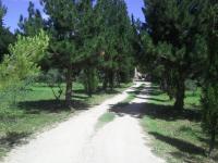 Mas de Rey - B&B