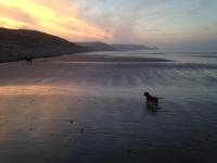 Harmon Vale - B&B Solva