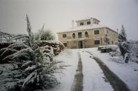Cortijo Los Nogales - B&B