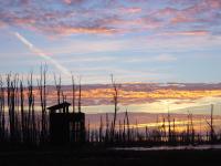 Hornborgasjöns Stugby - Bed and Breakfast Bjällum