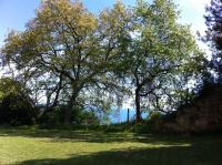 B&B La casa di g.g. - B&B Grottammare