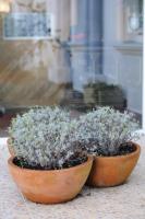 Apartamentos Turisticos Noray - B&B Argoños