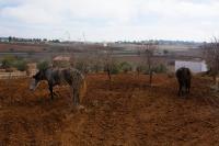 Casa con 2 Camere da Letto