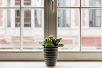Cozy & Bright Apartment - B&B Amberes