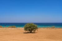 Indigo - B&B Protaras