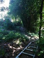 Palm Heights - Ferienwohnung Palm Beach