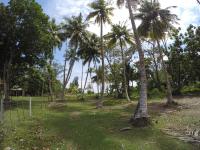 Bimanjee Mango Resort - Bed and Breakfast