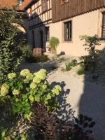 LA GRANGE D'ELISA - B&B Epfig