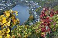 Haus Brandenburg an der Mosel - B&B