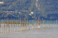Studio Meublé L'Orée du Parc - Chambres d’hôtes Aix-les-Bains