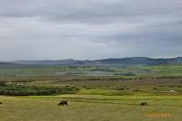 Ardenlee Self Catering Apartment - Ferienwohnung Borve