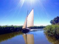 Suite con vistas al jardín